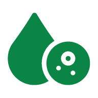 Supports normalization of lipid profile and biochemical parameters